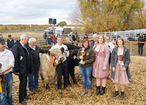 Großer Auftrieb bei der Jungtierschau in Hochheim