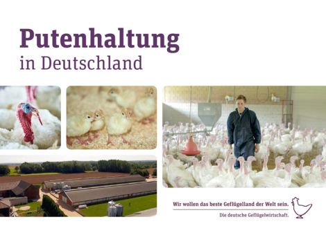 Neue Broschüre gibt Einblicke in Putenhaltung