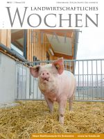Ausgabe 6/2019