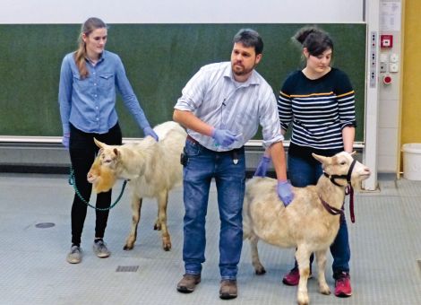 „Bilden Sie Impfgemeinschaften“