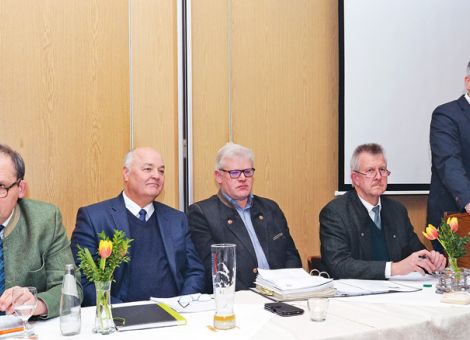 Neugründung einer Holzvermarktungsorganisation
