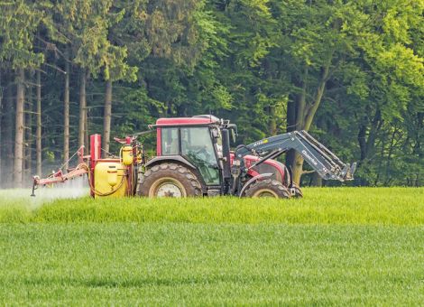 Die ersten bewährten Azole gehen verloren