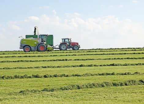 Nur das richtige Siliermittel wirkt optimal