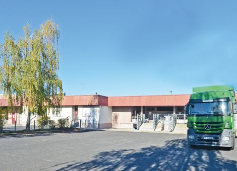 Schlachtzahlen sollen gesteigert werden