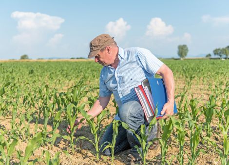 Subventionierte Versicherungen ersetzen nicht die Eigenvorsorge