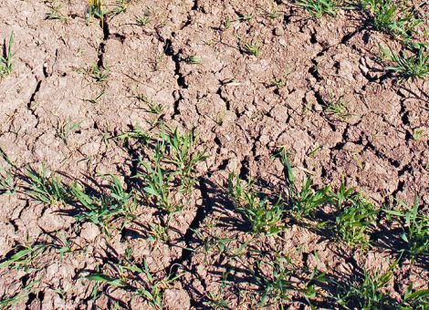 Klimawandel und neue Herausforderungen