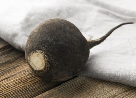 Sirup-Rezept gegen Husten