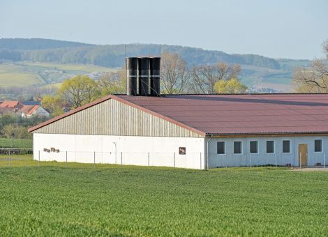 Luftreinhaltung kontra Tierwohl