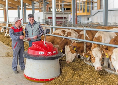 Futter 
an die Kuh bringen