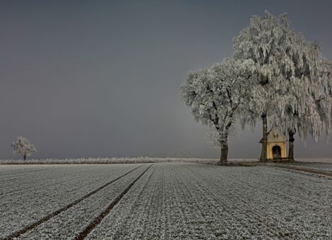 Die Schönheit der Landwirtschaft im Fokus