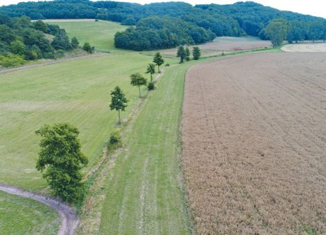 Zwei Fliegen mit einer Klappe, manchmal funktioniert´s