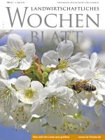 Ausgabe 15/2019