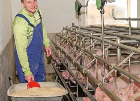 Kann Rapsschrot Sojaschrot ersetzen?