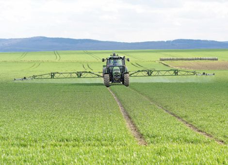 Pilzbehandlungen sichern lediglich Erträge ab
