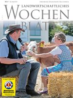 Ausgabe 17/2019