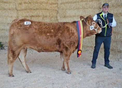 Spitzenergebnisse bei „Best Of“ in Groß Kreutz