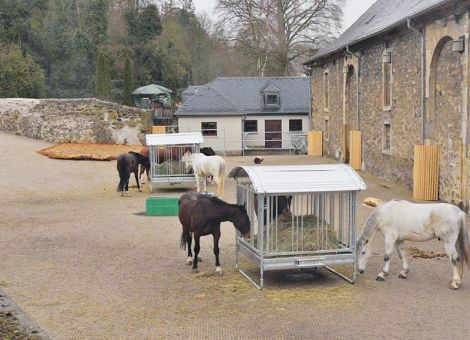 Landgestüt Dillenburg setzt Tierwohl-Maßnahmen um