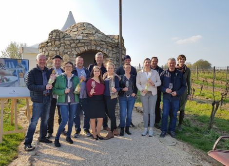 Neue Kollektion Rheinhessen Silvaner 