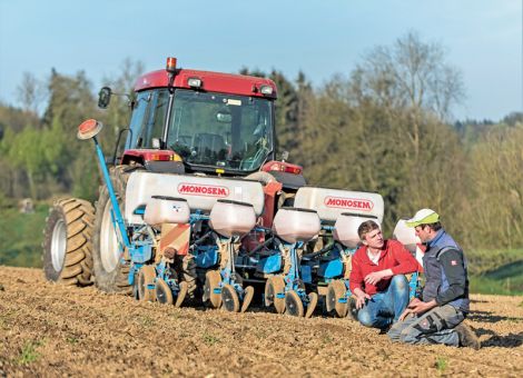 Umfrage deutet auf Ausweitung des Maisanbaus