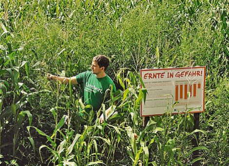 Rekordbeteiligung bei „Schau ins Feld“