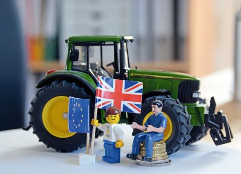 Ungeordneter Brexit verheerend für britische Landwirte