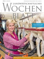 Ausgabe 20/2019