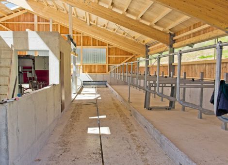 Öffnungsklausel für tiergerechte Haltungsverfahren in der TA Luft