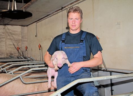 BRS: Lebensmitteleinzelhandel muss bei Ferkelkastration Farbe bekennen