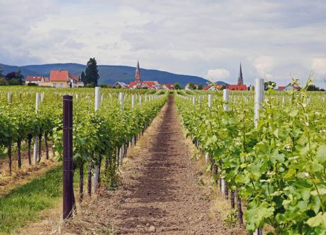BWV pocht auf Entschärfung von Anwendungsbestimmungen