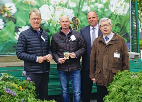 Blühstreifen mitten in Frankfurt