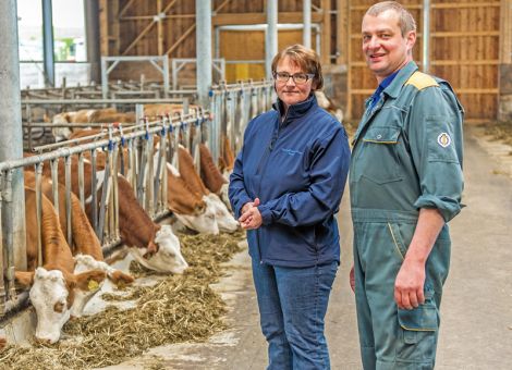 Milchviehhalter wieder investitionswilliger