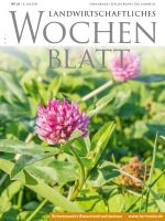 Ausgabe 23/2019
