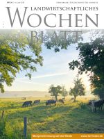 Ausgabe 24/2019
