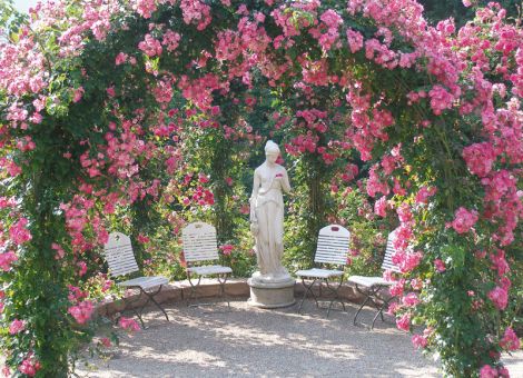 Neue Rosenromantik