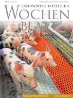 Ausgabe 26/2019