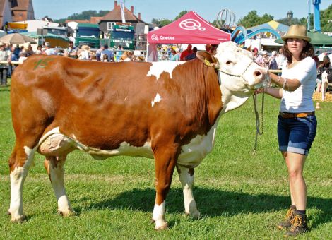Prämienmarkt Lauterbach – Leistungsschau der Tierzucht