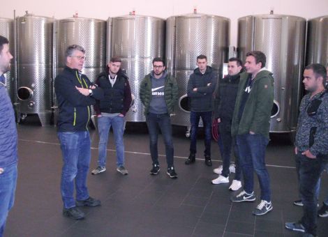Auf Exkursion an der Mittelmosel