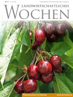 Ausgabe 27/2019