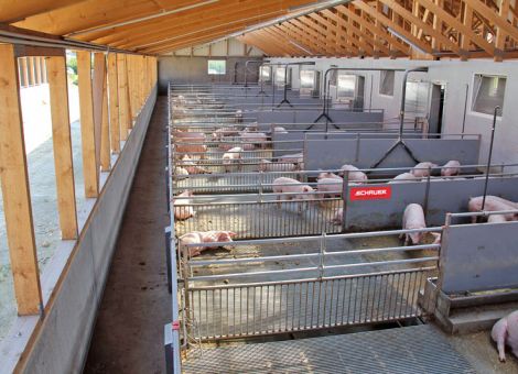 Nachhaltigkeit muss das Tierwohl einschließen