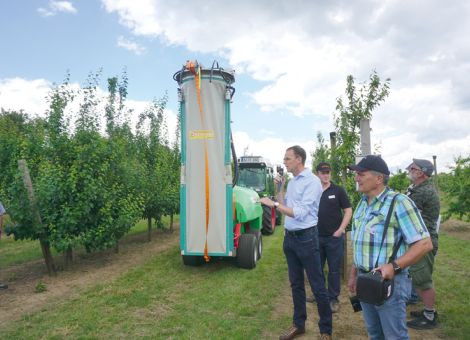 Wie den Pflanzenschutz im Obstbau erhalten?