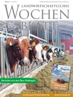 Ausgabe 28/2019