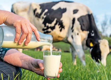 Milchpreise 2018 mit leichten Schwächen