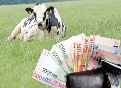 Rekordanlieferung trotz Dürre