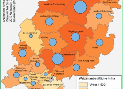 Repräsentativität ist kein Zufall