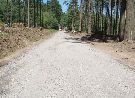 Ein Forstweg hat ganzjährig der Logistik zu dienen