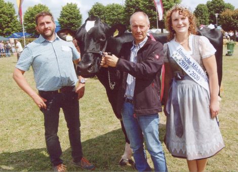 Rinderbereich beim Beerfelder Pferdemarkt vom Feinsten