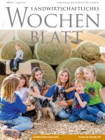 Ausgabe 31/2019