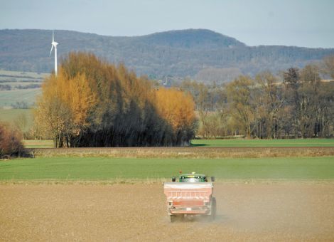 Gezielte Herbstdüngung beugt Verlusten vor