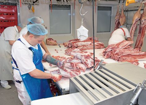 Deutscher Schweinepreis macht Sprung nach oben