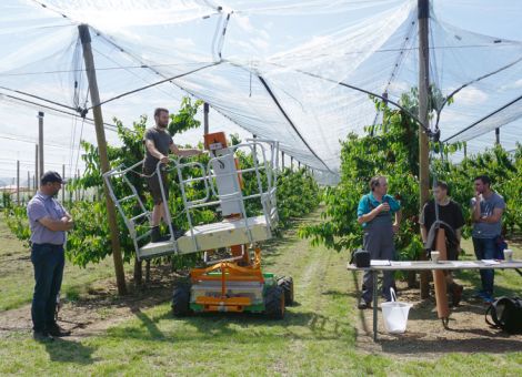 Arbeitsbühnen erleichtern die Obsternte enorm